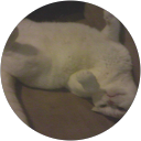 yad basil profile picture