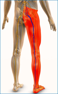 Leg Pain After Sitting Too Long Explained & Relief Options